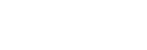 Monaghan Brothers Limited - Ford cars